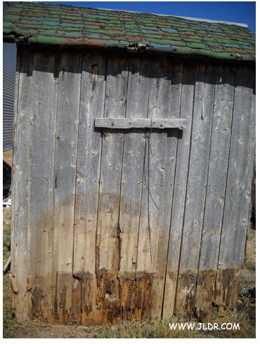 Back view of the 1900's Outhouse