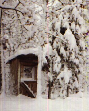 West Virginia Commune Outhouse in the Winter