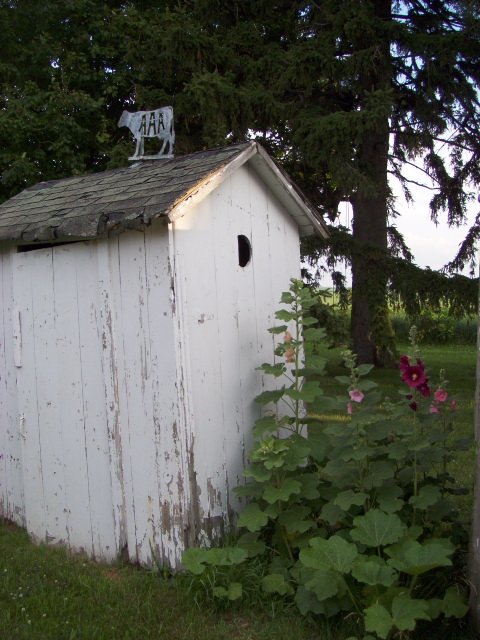 Outhouse Collection near Blaine, Illinois
