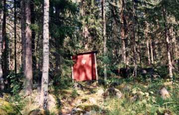 An Outhouse in the Swedish Forest
