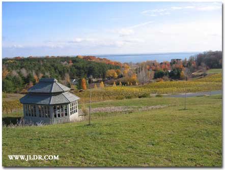 Grand Traverse Bay from a vineyard hillside