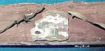 Closeup of Outhouse Painted on a Rock Slab