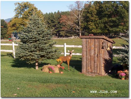 A VERY Good Looking Outhouse