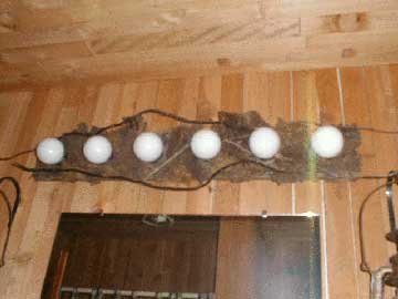 Another Rustic Light; notice the branches surrounding the bulbs