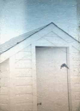 AT&T Microwave Site Outhouse Serving as a Martin Nest