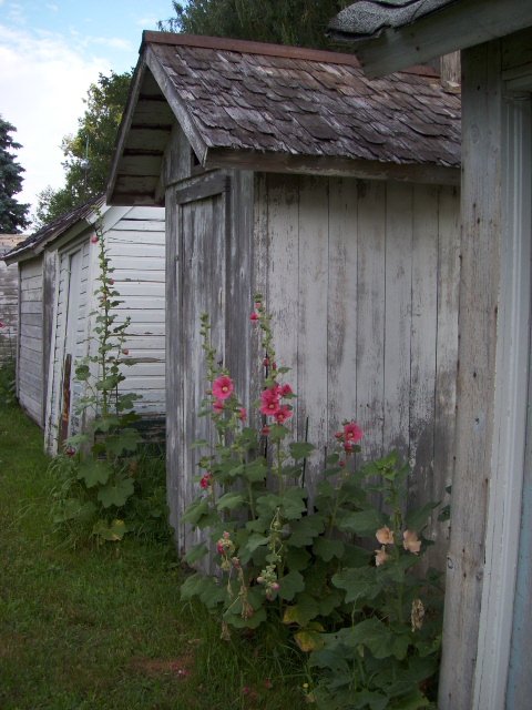 Outhouse Collection near Blaine, Illinois