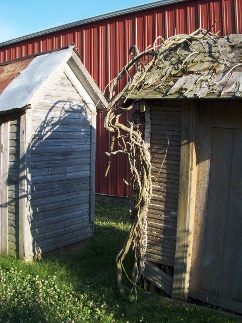 Outhouse Collection near Blaine, Illinois