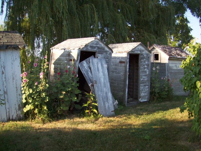 Outhouse Collection near Blaine, Illinois