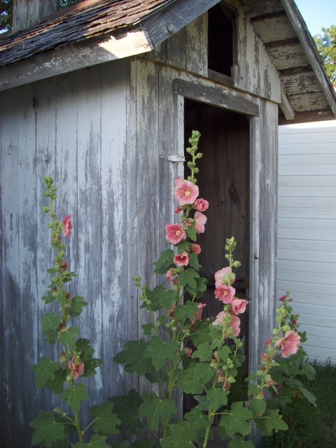 Outhouse Collection near Blaine, Illinois