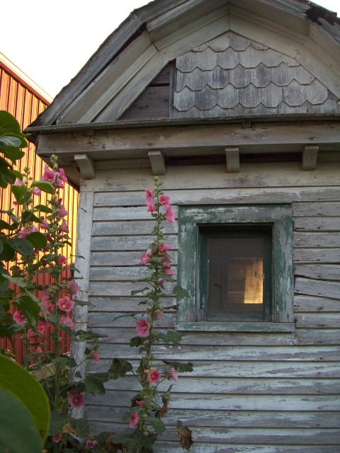 Outhouse Collection near Blaine, Illinois