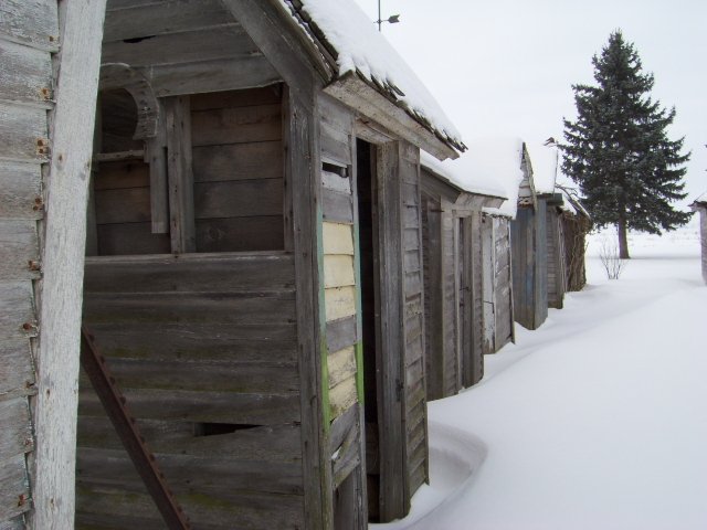 Outhouse Collection near Blaine, Illinois