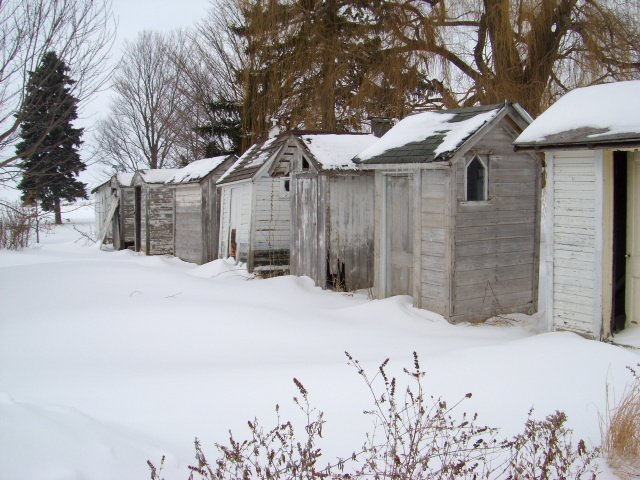 Outhouse Collection near Blaine, Illinois